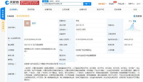 京東云計算拓展智能城市版圖，新設(shè)科技公司布局動漫游戲開發(fā)與系統(tǒng)集成